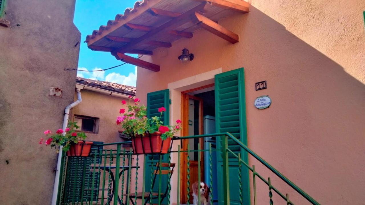 L'Isola Di Boccheggiano Exterior foto